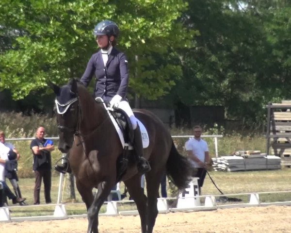 Reitturnier Gardelegen 2019