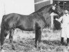 stallion Sans Souci (Selle Français, 1962, from Debuche)