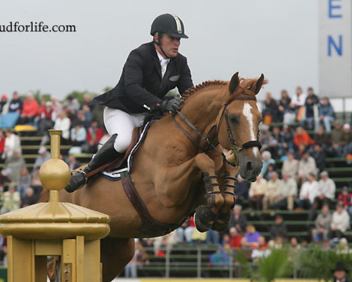 stallion Jalis de Riverland (Selle Français, 1997, from Bleu Blanc Rouge II)