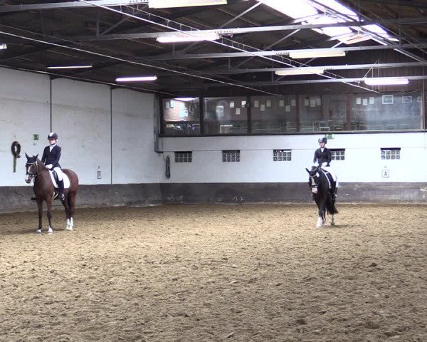 Reitturnier Ascheberg 2021
