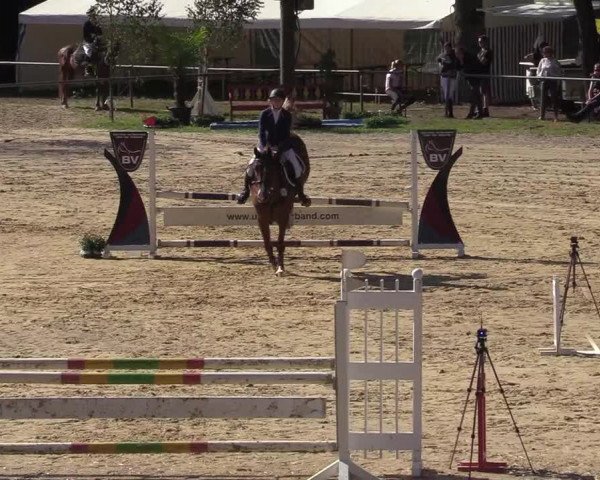Reitturnier Neunkirchen-Salchendorf 2019