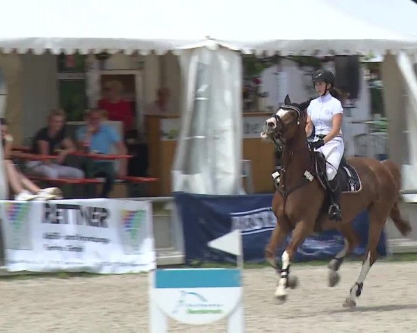 Reitturnier Grafenrheinfeld 2019