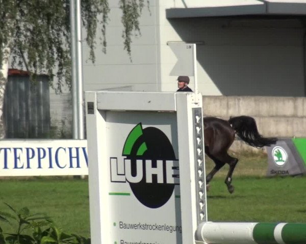 Reitturnier Gardelegen 2019