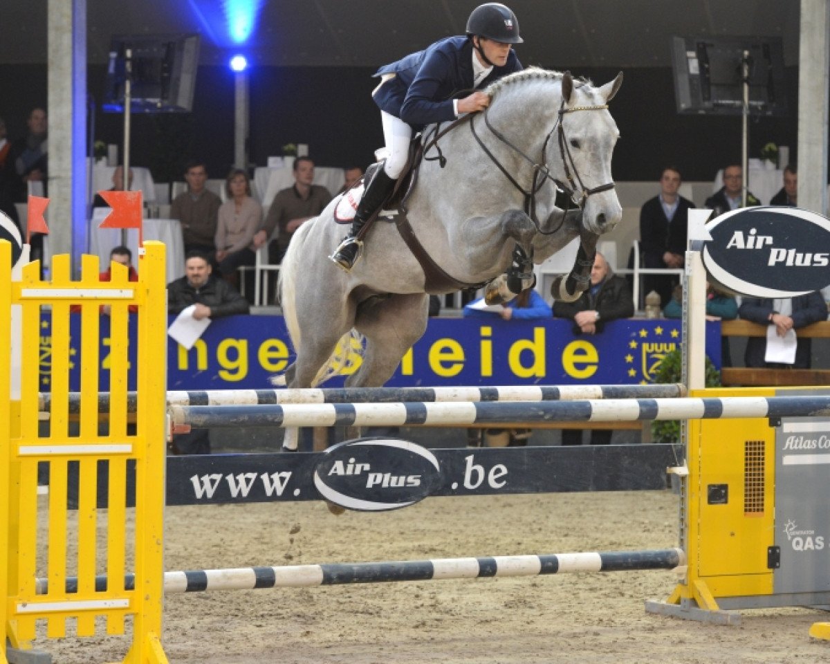 Deckhengst Ivoir - S (Belgisches Warmblut, 2008, von Clinton)