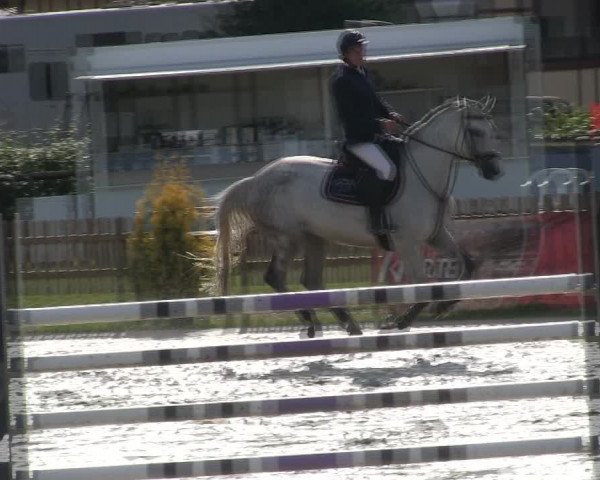 Reitturnier Schülp / Rendsburg 2019