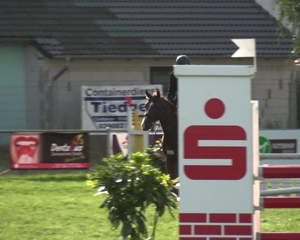 Reitturnier Gardelegen 2019