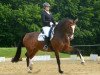 broodmare Eleganz 34 (Westphalian, 2006, from Ehrenpreis)