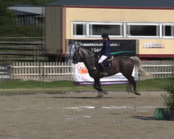 Reitturnier Schülp / Rendsburg 2019