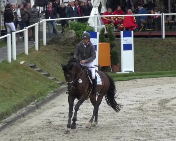 Reitturnier Bergisch Classics - Hebborner Hof 2019