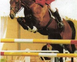 broodmare Venus du Plessis (Selle Français, 1987, from Narcos II)