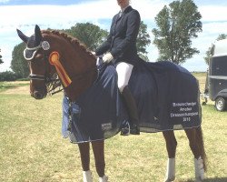 dressage horse Diva Desdemona S (Hanoverian, 2006, from Dauphin)