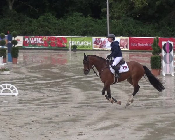 Reitturnier Bergisch Classics - Hebborner Hof 2019