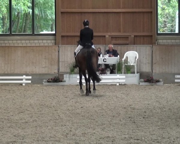 Reitturnier Bergisch Classics - Hebborner Hof 2019