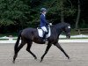 broodmare Schwalbennacht DG (Trakehner, 2011, from All Inclusive)