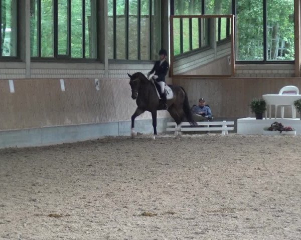 Reitturnier Bergisch Classics - Hebborner Hof 2019