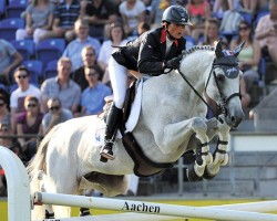 stallion Mylord Carthago (Selle Français, 2000, from Carthago)