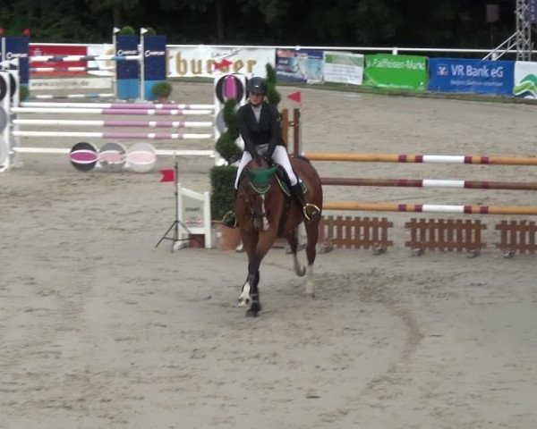 Reitturnier Bergisch Classics - Hebborner Hof 2019