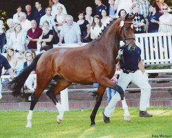 broodmare Sacrefleur (Oldenburg, 2005, from Sunny-Boy)