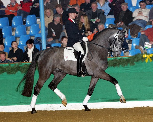 dressage horse Rudolf 18 (Oldenburg, 2000, from Royal Diamond)