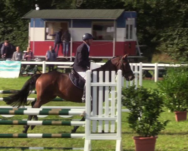Reitturnier Langstedt-Bollingstedt 2019