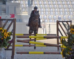 jumper Fun Vicky T (German Riding Pony, 2010, from For Next Generation)