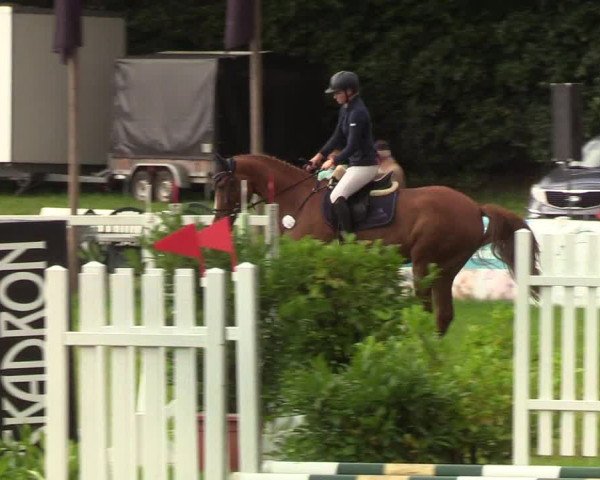 Reitturnier Langstedt-Bollingstedt 2019