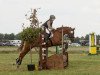 dressage horse Holsteins Summer Girl (German Riding Pony, 2007, from Fs Disagio)