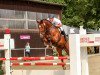 dressage horse E.L.Cacao (Westphalian, 2010, from Camax L)