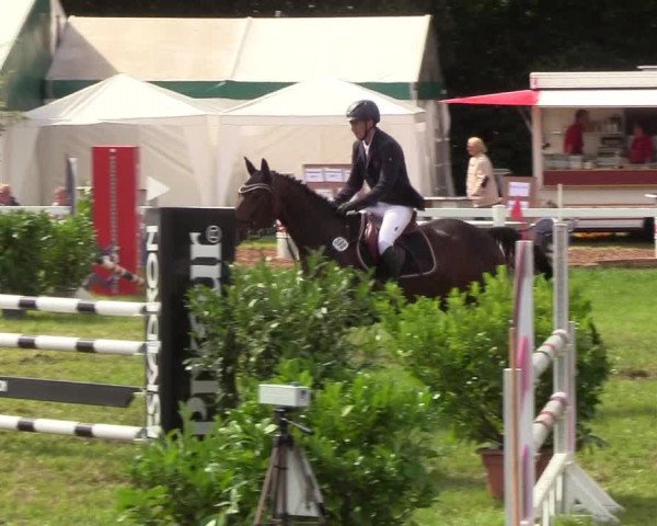 Reitturnier Langstedt-Bollingstedt 2019