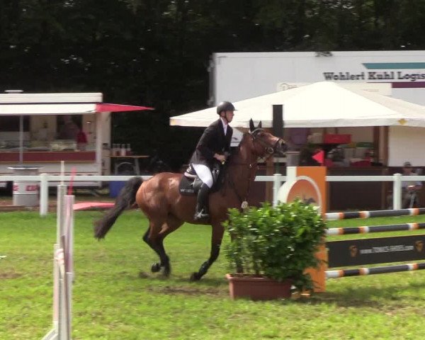 Reitturnier Langstedt-Bollingstedt 2019