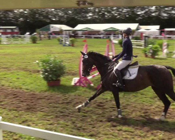 Reitturnier Langstedt-Bollingstedt 2019