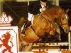 stallion Marlon (Dutch Warmblood, 1994, from Zeus)