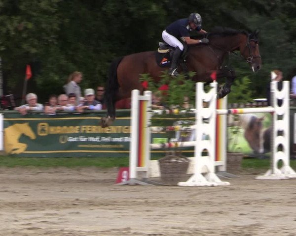 Reitturnier Datteln 2019