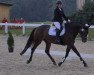 dressage horse Maleficent 5 (Hanoverian, 2016, from E.H. Millennium)