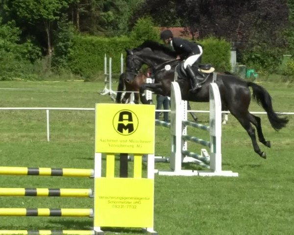 Reitturnier Memmingen/Schw. 2019