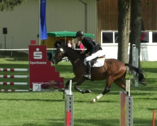 Reitturnier Memmingen/Schw. 2019