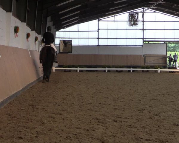Reitturnier Datteln 2019