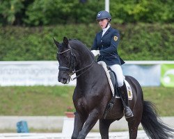 dressage horse Satchmo 105 (KWPN (Royal Dutch Sporthorse), 1999, from Gribaldi)