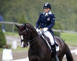 dressage horse Don Scudo (Hanoverian, 2004, from Don Schufro)