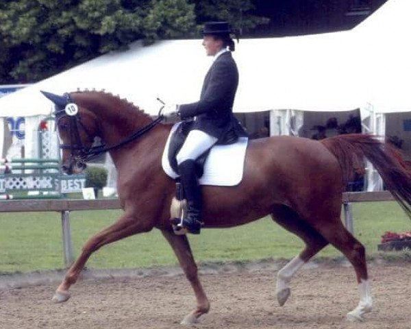 broodmare Algisa (Bavarian, 1996, from Wildcard)