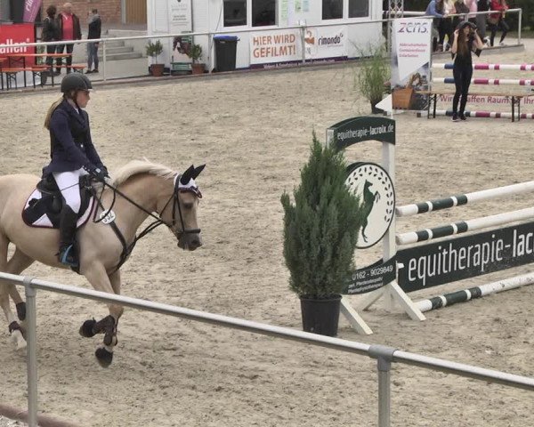 Reitturnier Durmersheim-Hardt 2019