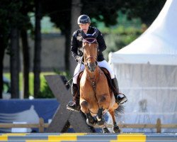 jumper Carlito D'Es (Belgian Warmblood, 2002, from Skippy II)