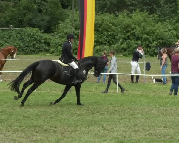 Reitturnier Memmingen/Schw. 2019