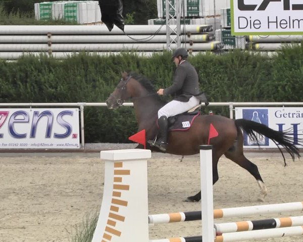 Reitturnier Durmersheim-Hardt 2019