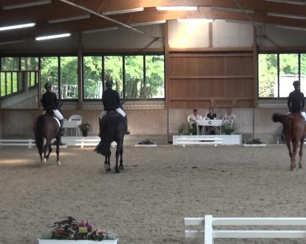Reitturnier Bergisch Classics - Hebborner Hof 2019
