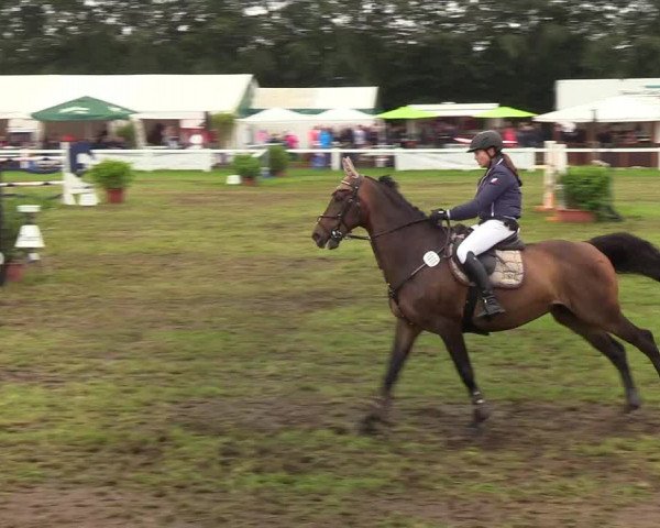 Reitturnier Langstedt-Bollingstedt 2019