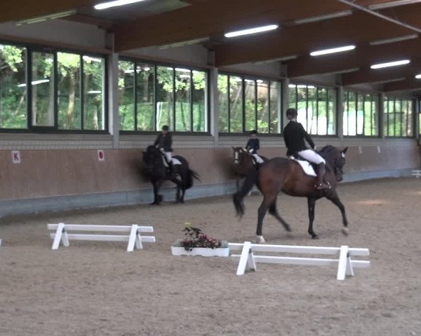 Reitturnier Bergisch Classics - Hebborner Hof 2019