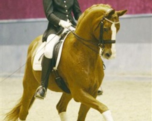 stallion Weltjunge (Hanoverian, 1997, from Weltmeyer)