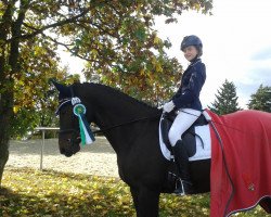 dressage horse Armin Attila (Trakehner, 2006, from Black Magic Boy)