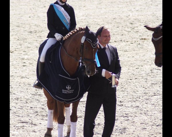 Dressurpferd Kida (Nederlands Rijpaarden en Pony, 2009, von Kasparow)